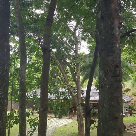 Villa D55 Kandy Ngoại thất bức ảnh