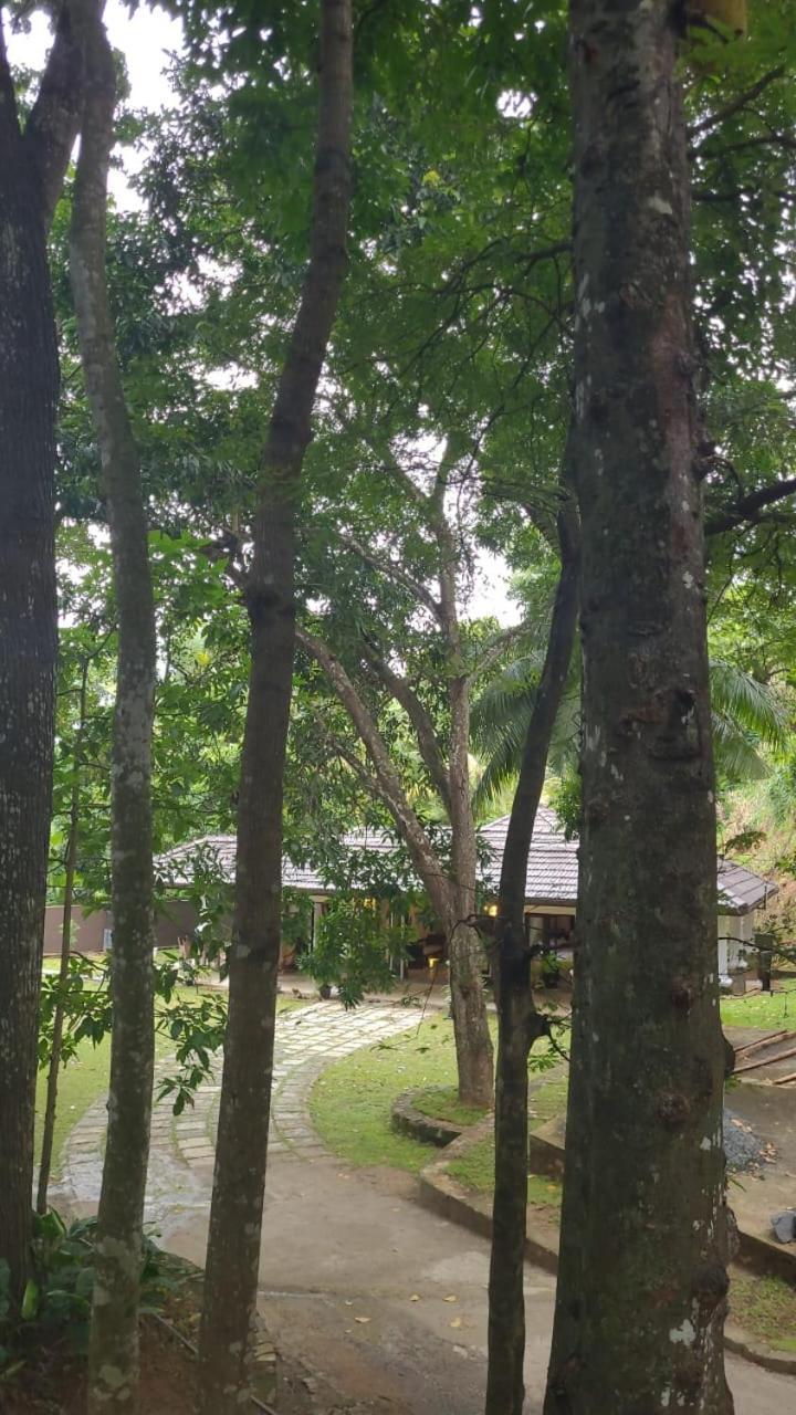 Villa D55 Kandy Ngoại thất bức ảnh