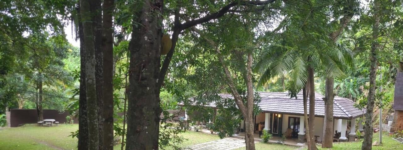 Villa D55 Kandy Ngoại thất bức ảnh